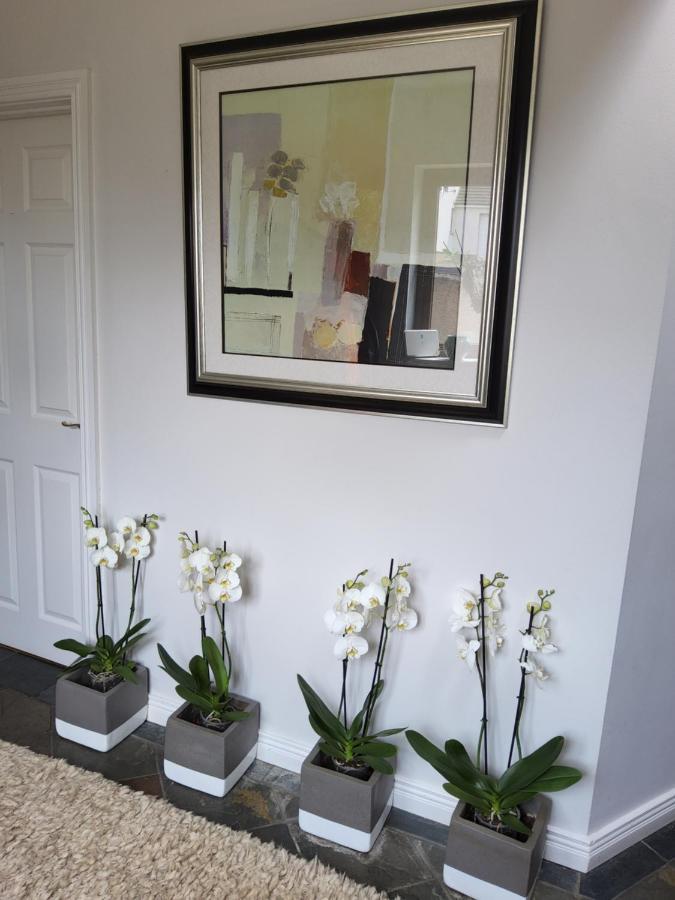 Divine Cottage Ballycastle Exterior foto